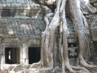Angkor, fromagers, 